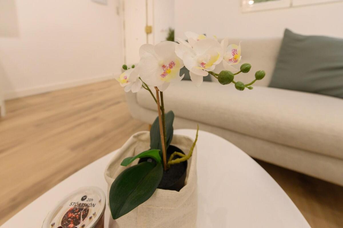 1 Bedroom In The Center Of Temporary Gos41b * Madrid